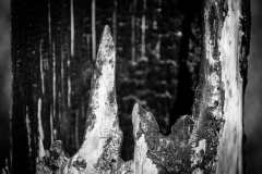 Burnt_out_on_the_inside