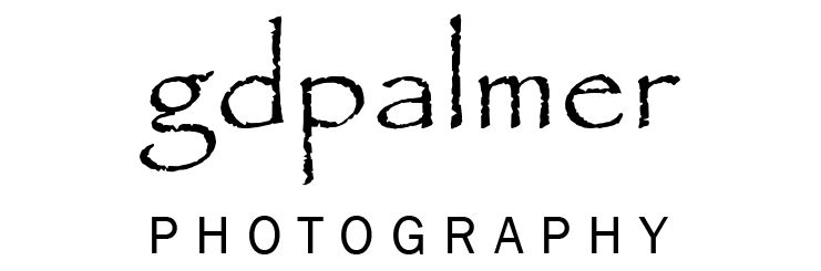gdpalmer